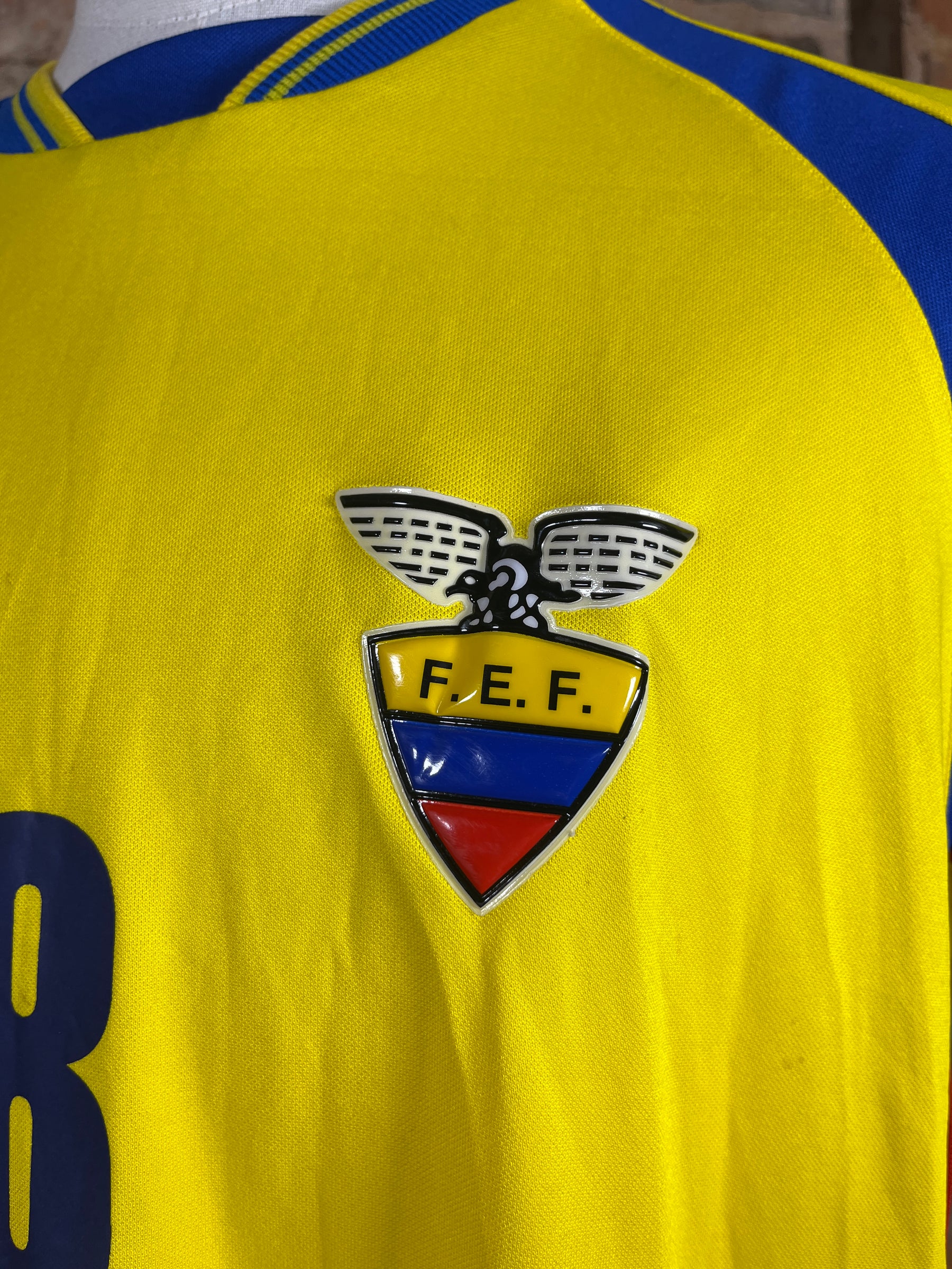 Ecuador #8 – Home – L – 2002 – (6/10)