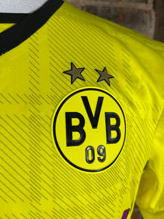 Borussia Dortmund #26 Piszczek Match Worn/Issue – Home – 2014 – L – (6/10)